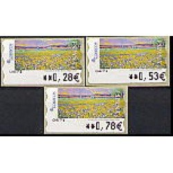 ATMs - Térmicos 2005 - E0200 - Pintura Las flores silvestres