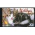 Gibraltar - Nº C 792 1997 Fauna Gatos Carnet 5 pag. con sellos nº 792/97 Lujo