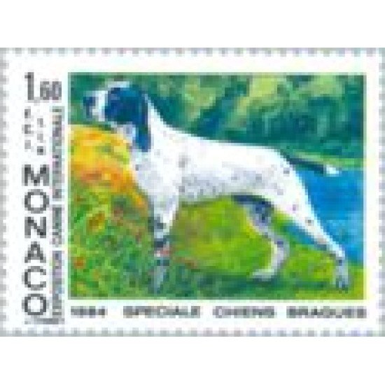 Monaco - 1425 - 1984 Exp. canina inter.- Monte-Carlo-sabuesos-Lujo Monaco - 1425 - 1984 Exp. canina inter.- Monte-Carlo-sabuesos-Lujo