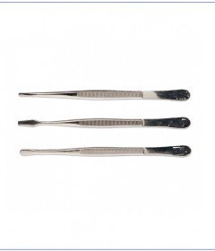 Pinzas