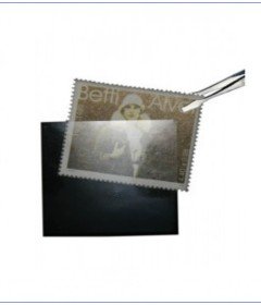 Protectores para Sellos Prinz 
