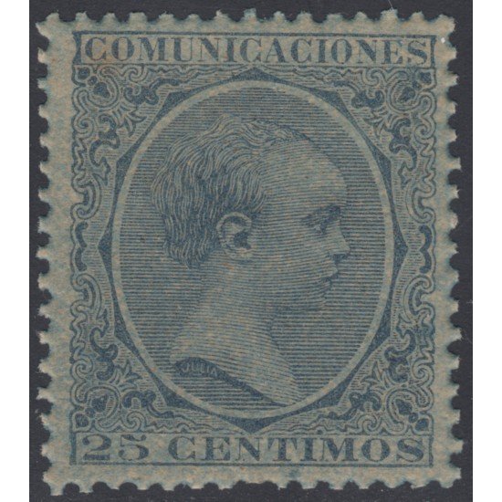 España Spain Variedad 221ib 1889/1899 Papel Azulado Afonso XIII 100€
