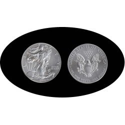 Estados Unidos United States 1 OZ onza 2014 Liberty 1$ Plata Ag Estados Unidos United States 1 OZ onza 2014 Liberty 1$ Plata Ag