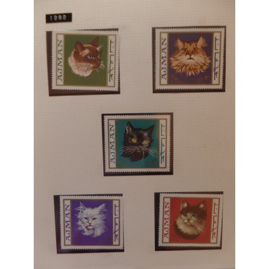Colección Collection Gatos cats 
