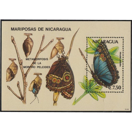 Nicaragua HB 201 1991 Mariposas de Nicaragua Butterflies MNH Nicaragua HB 201 1991 Mariposas de Nicaragua Butterflies MNH