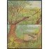 Nicaragua HB 205/06 1991 Fauna Bosques Pájaros Birds MNH
