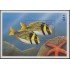 Nicaragua HB 276 1998 Flora y Fauna del Trópico Peces Fishes MNH