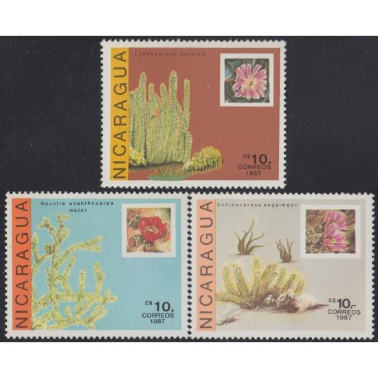 Nicaragua 1479/81 1987 Flora Cactus flores MNH Nicaragua 1479/81 1987 Flora Cactus flores MNH