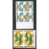 AJZ2 Djibouti  Nº 541/2  pareja sin dentar  1981  MNH