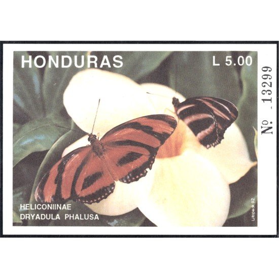 Honduras HB 48 1992 Mariposas Butteflies fauna MNH Honduras HB 48 1992 Mariposas Butteflies fauna MNH