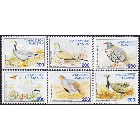 Tadjikistan 75/80 1996 Pájaros Birds MNH