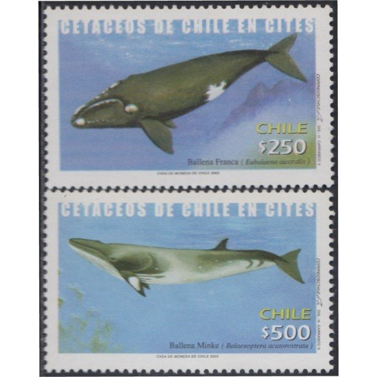 Chile 1652/53 2002 Fauna Protegida. Cetáceos MNH Chile 1652/53 2002 Fauna Protegida. Cetáceos MNH