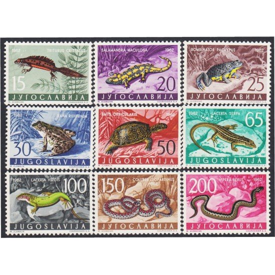 Yugoslavia 905/13 1962 Fauna Animales diversos MNH Yugoslavia 905/13 1962 Fauna Animales diversos MNH