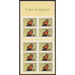 France Francia Autoadhesivos CB41 2004 Carnet Mariposas Butterflies MNH France Francia Autoadhesivos CB41 2004 Carnet Mariposas Butterflies MNH