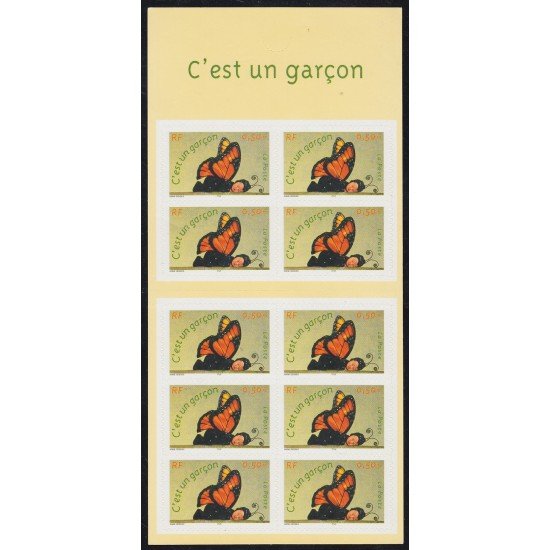 France Francia Autoadhesivos CB41 2004 Carnet Mariposas Butterflies MNH