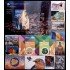 Andorra española Año completo Year complete 2019