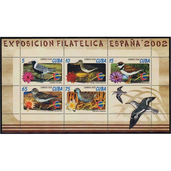 España Spain Emisión conjunta 2002 Cuba - España Pájaros Aves Birds MNH España Spain Emisión conjunta 2002 Cuba - España Pájaros Aves Birds MNH