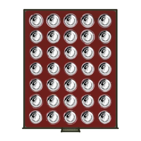 Lindner 2625 Bandeja 36 mm para monedas con 35 huecos redondos en cápsulas 
