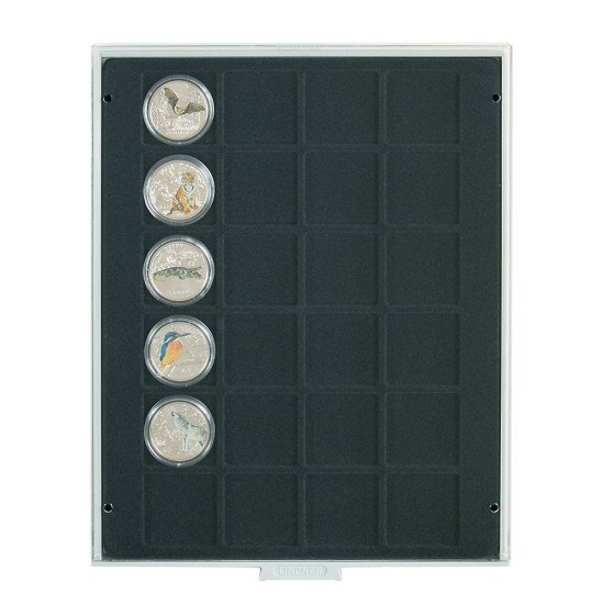 Lindner 2124C Bandeja 42 mm para monedas con 24 huecos cuadrados