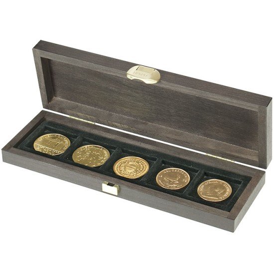 Lindner S2490-5 Estuche Carus S con 5 compartimentos para monedas