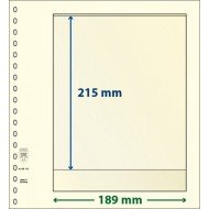 Lindner 802102P Hojas T-Blanko Creaciones Personales Altura: 215 mm. pqte 10