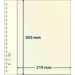 Lindner 802112P Hojas T-Blanko Creaciones Personales Altura: 305 mm. pqte 10