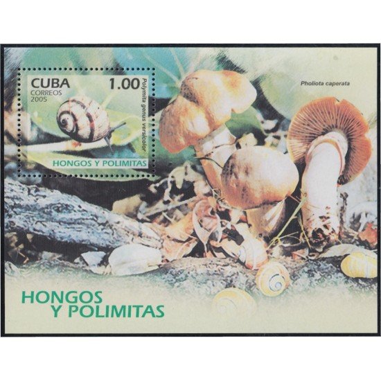 Cuba HB 208 2005 Fauna. Setas y caracoles MNH