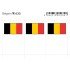 Lindner 635 Bélgica Etiquetas adhesivas 24 x 38 mm pqte 6 