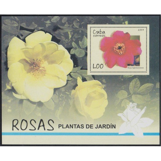 Cuba HB 231 2007 Flora Rosas MNH Cuba HB 231 2007 Flora Rosas MNH