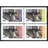 Costa Rica 698/01 2001 Sobre tasa Pro Ciudad de los Niños MNH