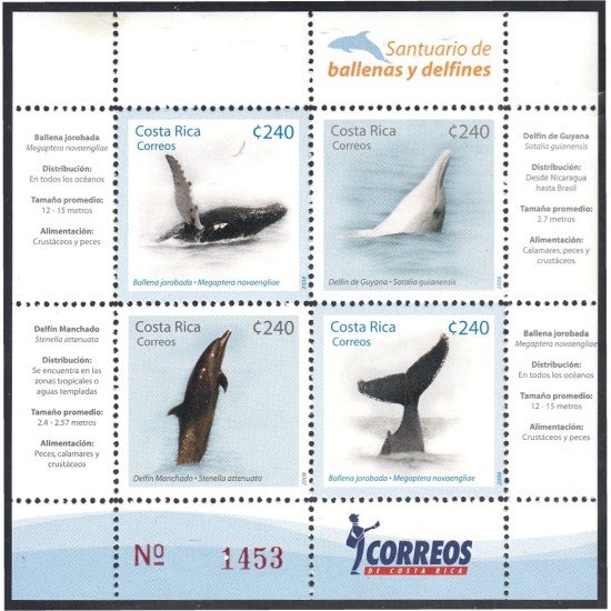 Costa Rica 863/66 2008 Santuario de las Ballenas y los Delfines MNH Costa Rica 863/66 2008 Santuario de las Ballenas y los Delfines MNH