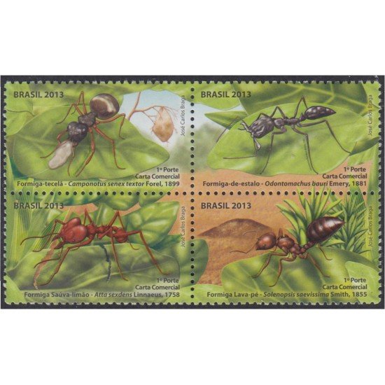 Brasil Brazil 3283/86 2013 Fauna Insectos Hormigas MNH Brasil Brazil 3283/86 2013 Fauna Insectos Hormigas MNH