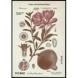 España Spain Prueba de lujo 161 2022  Flora. Ilustración botánica