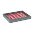 Lindner 2367-2537E Estuche para monedas NERA M PLUS con plantilla para monedas en color rojo claro con 30 hoyos redondos para cápsulas para monedas de hasta 37,5 mm