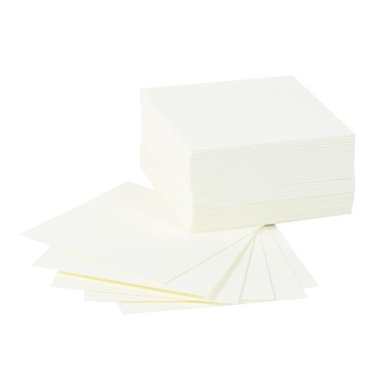Lindner 802005 Hojas descriptivas 45 x 45 mm, Paquete de 100 un. 
