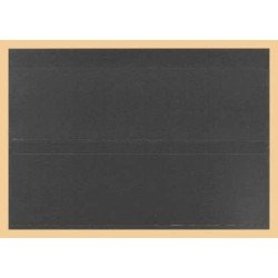 Lindner K-K02 Tarjeta para clasificar KOBRA en formato DIN A5 en cartón negro con 2 tiras Lindner K-K02 Tarjeta para clasificar KOBRA en formato DIN A5 en cartón negro con 2 tiras