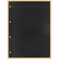 Lindner K-E21 Hoja clasificadora KOBRA, negro, 1 tira por ambos lados 