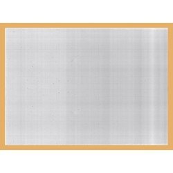 Lindner K-T89  Funda protectora KOBRA 210 x 297 mm. Paquete de 100 unidades 