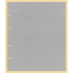 Lindner K-G28A Hoja intercalada KOBRA de cartón gris para álbum de tarjetas telefónicas Lindner K-G28A Hoja intercalada KOBRA de cartón gris para álbum de tarjetas telefónicas