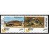 India 1507/08 2000 Animales en peligro de extinción Tortugas MNH