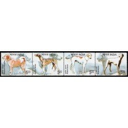 India 1835/38 2005 Fauna Perros MNH