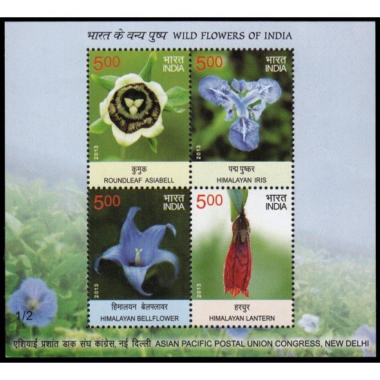 India HB 109 2013 Flores MNH