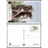 España Tarjetas del Correo y de Iniciativa Privada 81 2002 Monumento al donante Granada Tarifa A