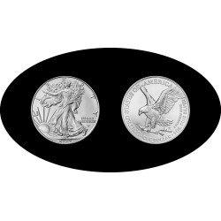 Estados Unidos United States 1 OZ onza 2024 American Silver Eagle 1$ Plata Ag Estados Unidos United States 1 OZ onza 2024 American Silver Eagle 1$ Plata Ag
