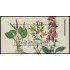 Suecia Sweden F3158 2017 Fauna Flores MNH