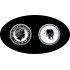 Australia 1 OZ onza 2007 Year of the ox Año del buey 2009 1$ Plata Ag 