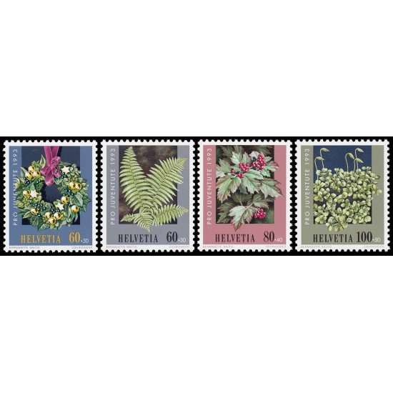 Suiza Switzerland 1440/43 1993 Pro juventud Navidad Plantas del bosque MNH Suiza Switzerland 1440/43 1993 Pro juventud Navidad Plantas del bosque MNH