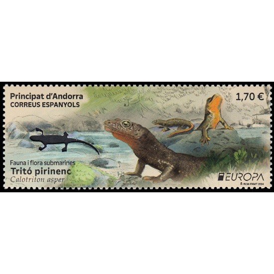 Andorra Española 558 2024 Fauna y flora submarinas Tritón pirenaico MNH