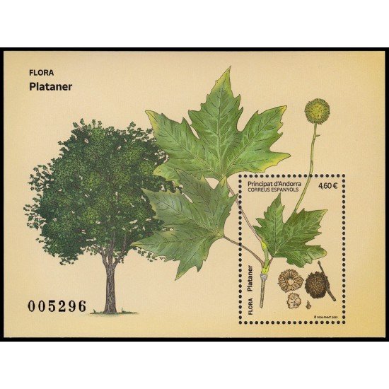Andorra Española 545 2023 Flora Platanero MNH
