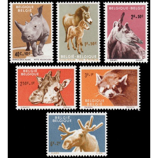 FAU1 Bélgica Belgium Nº 1182/87 1961 Fauna Animales del zoo de Amberes Lujo FAU1 Bélgica Belgium Nº 1182/87 1961 Fauna Animales del zoo de Amberes Lujo